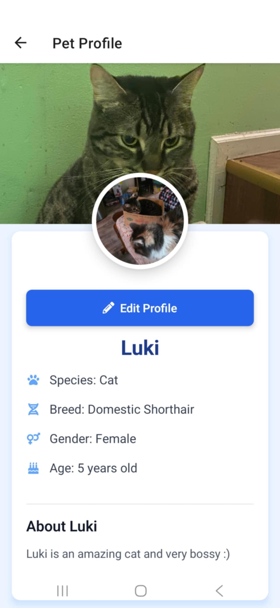 Pet Profile